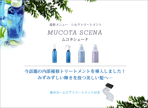最新メニュー シルクトリートメント　MUCOTA SCENA（ムコタ シェーナ）
